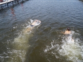 18.07.2015 r. Zawody pływackie