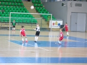 wiselka protektor cup