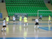 wiselka protektor cup