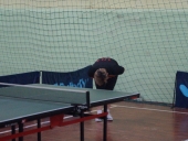 amatorska liga tenisa