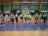 halowa pilka nozna dz