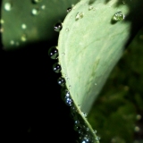 DSC02055