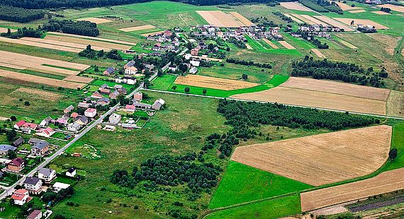 Obrazek - Bór Zapislki