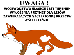 Obrazek - Szczepienie Lisów