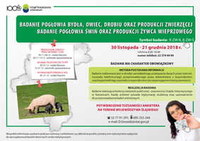 obrazek - ankieta GUS